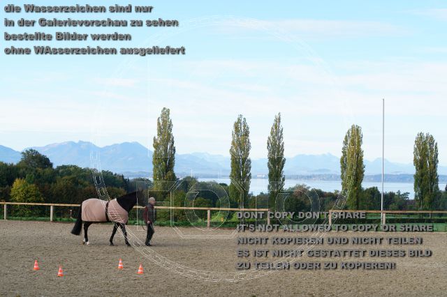 s_K3F00575.JPG